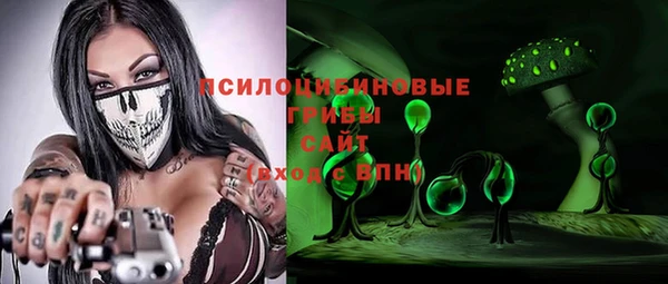 шишки Белокуриха