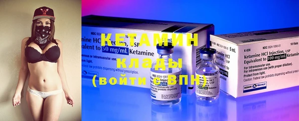 шишки Белокуриха