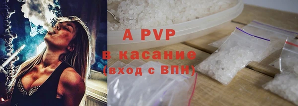 шишки Белокуриха