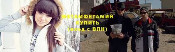 шишки Белокуриха