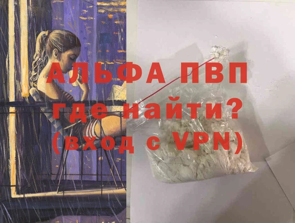 шишки Белокуриха