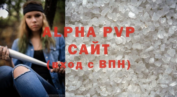 шишки Белокуриха