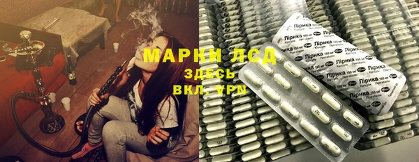 шишки Белокуриха