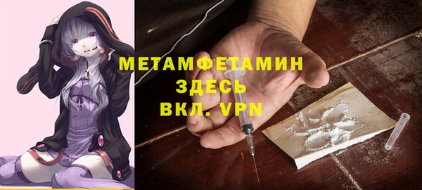 шишки Белокуриха
