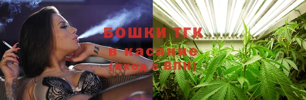 шишки Белокуриха